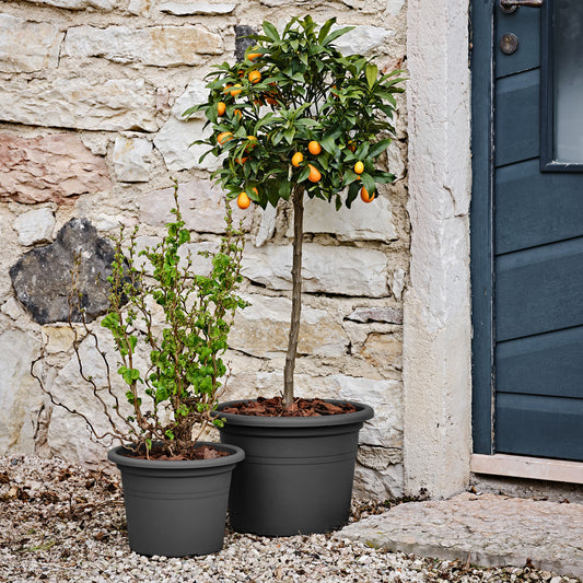 ქოთანი „ბეისიკ რაუნდი“ ⌀20სმ, თეთრი