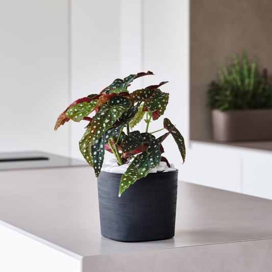 ქოთანი „კაპრი“ 19/24/29სმ, შავი