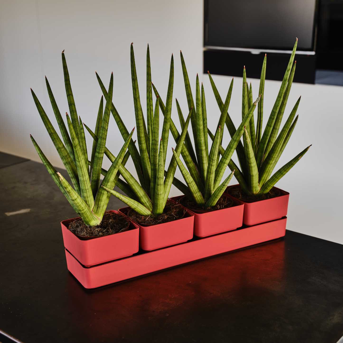 Flowerpots set SIERRA 38cm CORAL