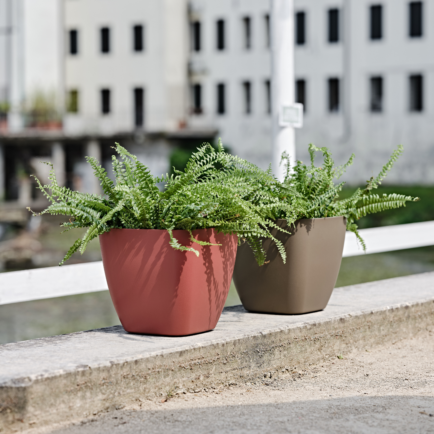 ქოთანი „ცეილონი“ 30/35სმ, ღია ყავისფერი