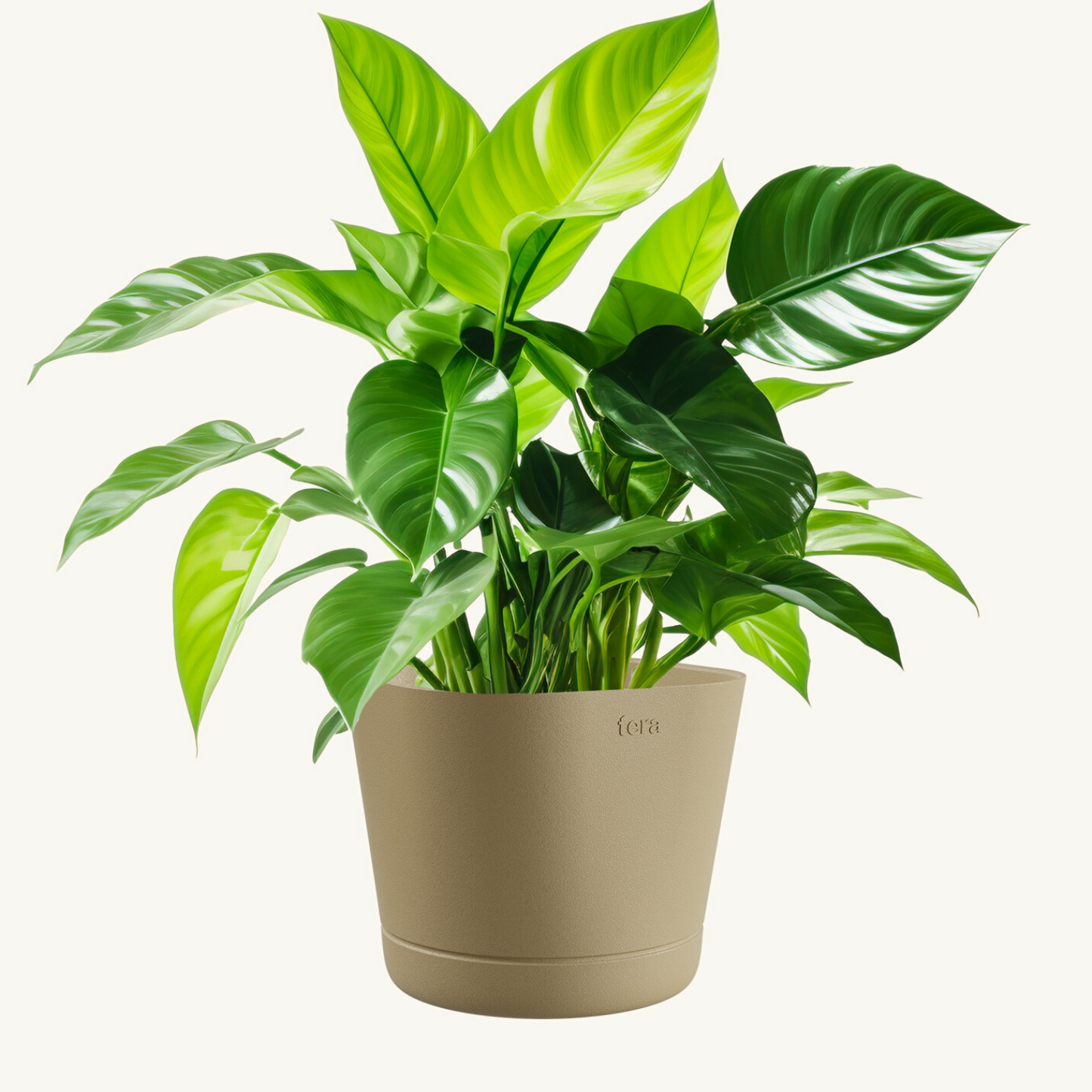 Flowerpot COLORADO 15/20cm DESERT