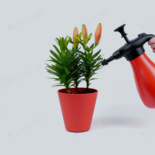 ქოთანი „ესტორილი“ ⌀16სმ, მარჯნისფერი