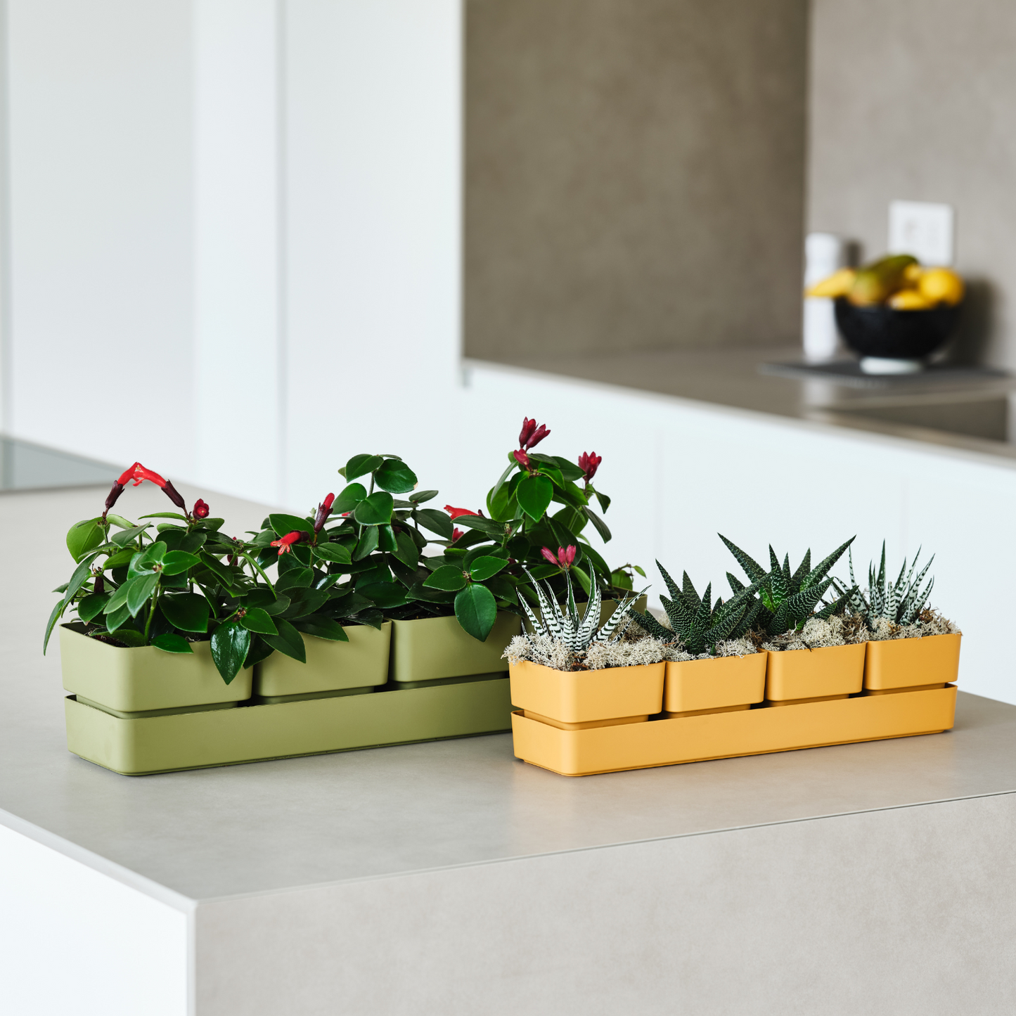 Flowerpots set SIERRA 48cm CURRY