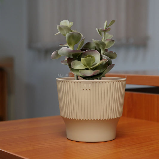 Flowerpot MINI ⌀13/15/18cm DESERT