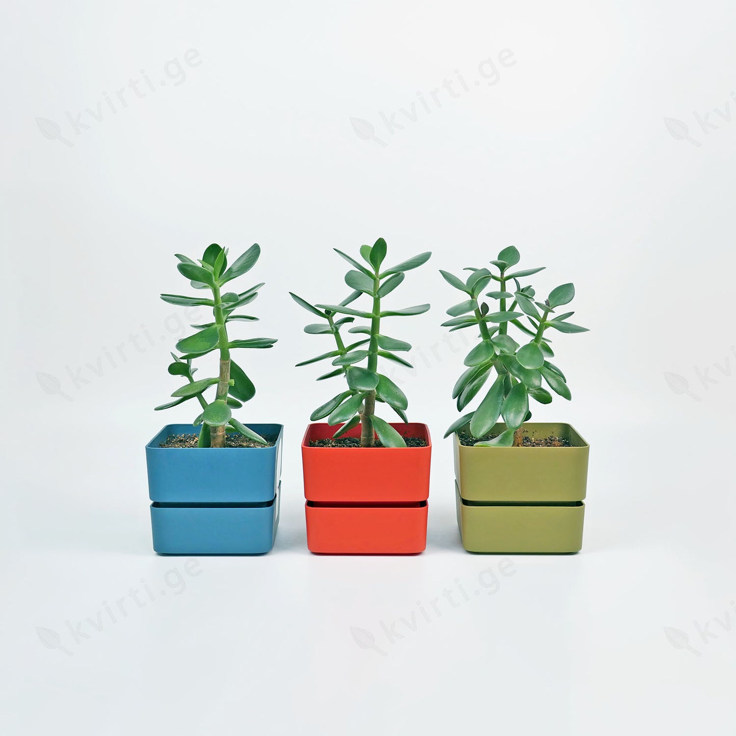 Flowerpot VELETA 9/12cm CORAL