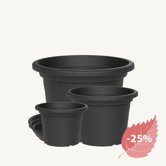 compare product
