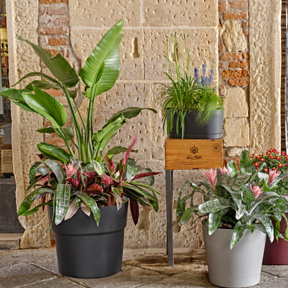 ქოთანი „ანდრომედა“ 28/38/48სმ, მუქი ნაცრისფერი