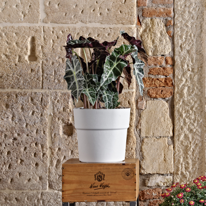 Flowerpot ANDROMEDA 28cm CLOUD