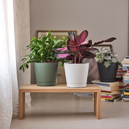 ქოთანი „ორიონი“ ⌀19/24სმ, თეთრი