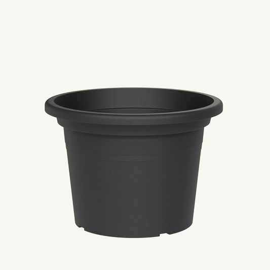 ქოთანი „ბეისიკ რაუნდი“ ⌀60სმ,  მუქი ნაცრისფერი