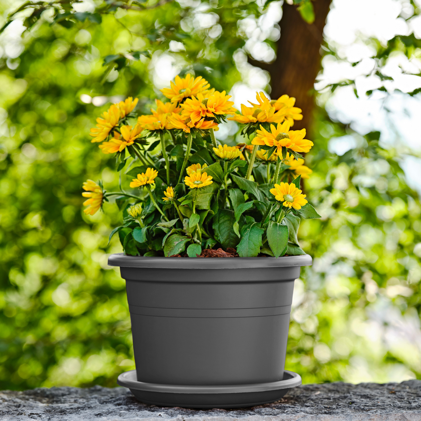 ქოთანი „ბეისიკ რაუნდი“ ⌀60სმ,  მუქი ნაცრისფერი