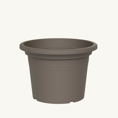 ქოთანი „ბეისიკ რაუნდი“ ⌀60სმ, ღია ყავისფერი