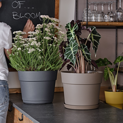 ქოთანი „ბლუმი“ ⌀19/24/29სმ, მუქი ნაცრისფერი