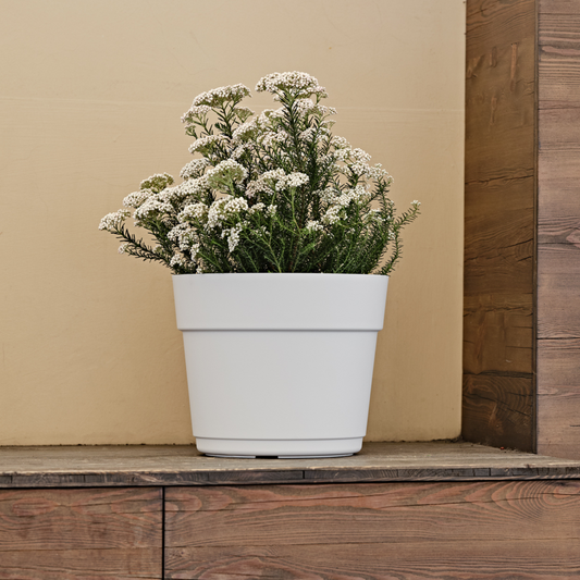 ქოთანი „ბლუმი“ ⌀19/24/29სმ, თეთრი