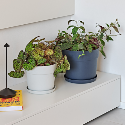 ქოთანი „ბლუმი“ ⌀19/24/29სმ, თეთრი