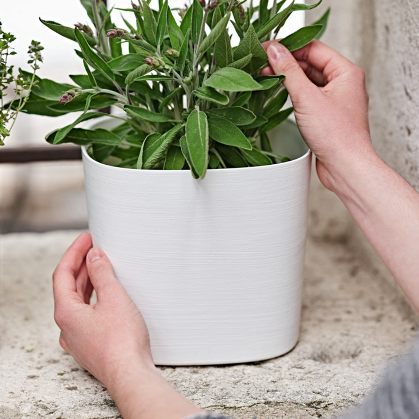 ქოთანი „კაპრი“ 19/24სმ, თეთრი