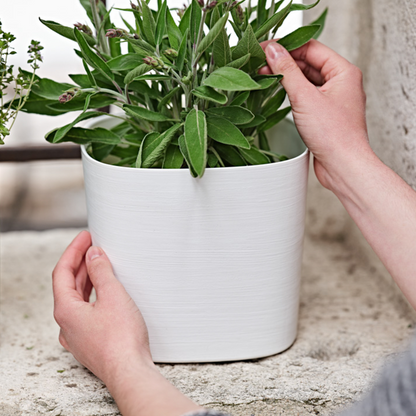 ქოთანი „კაპრი“ 19/24სმ, თეთრი