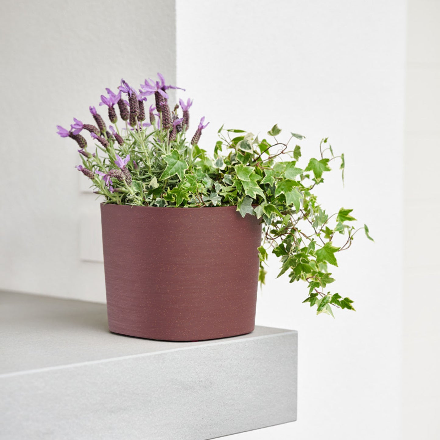 Flowerpot CAPRI 19cm ROSEWOOD