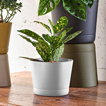 Flowerpot COLORADO 15/20cm SNOW