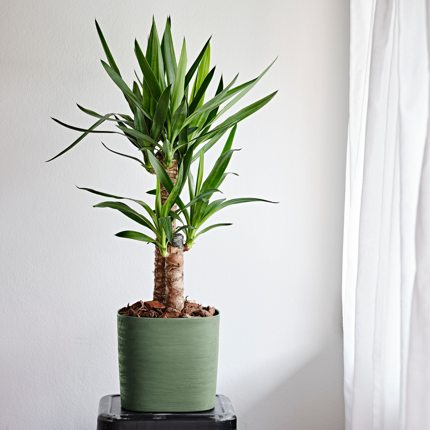 ქოთანი „კაპრი“ 29სმ, ცივი მწვანე