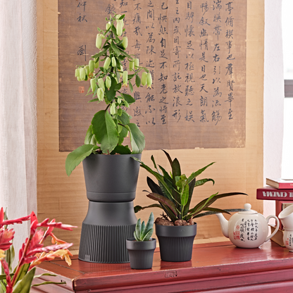 Flowerpot COLORADO 15/20cm ASH