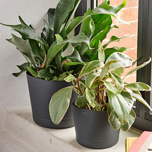 ქოთანი „კოლორადო“ 15/20სმ,  მუქი ნაცრისფერი