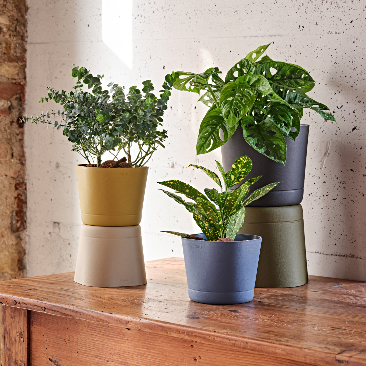 Flowerpot COLORADO 15/20cm GOLDEN LIME