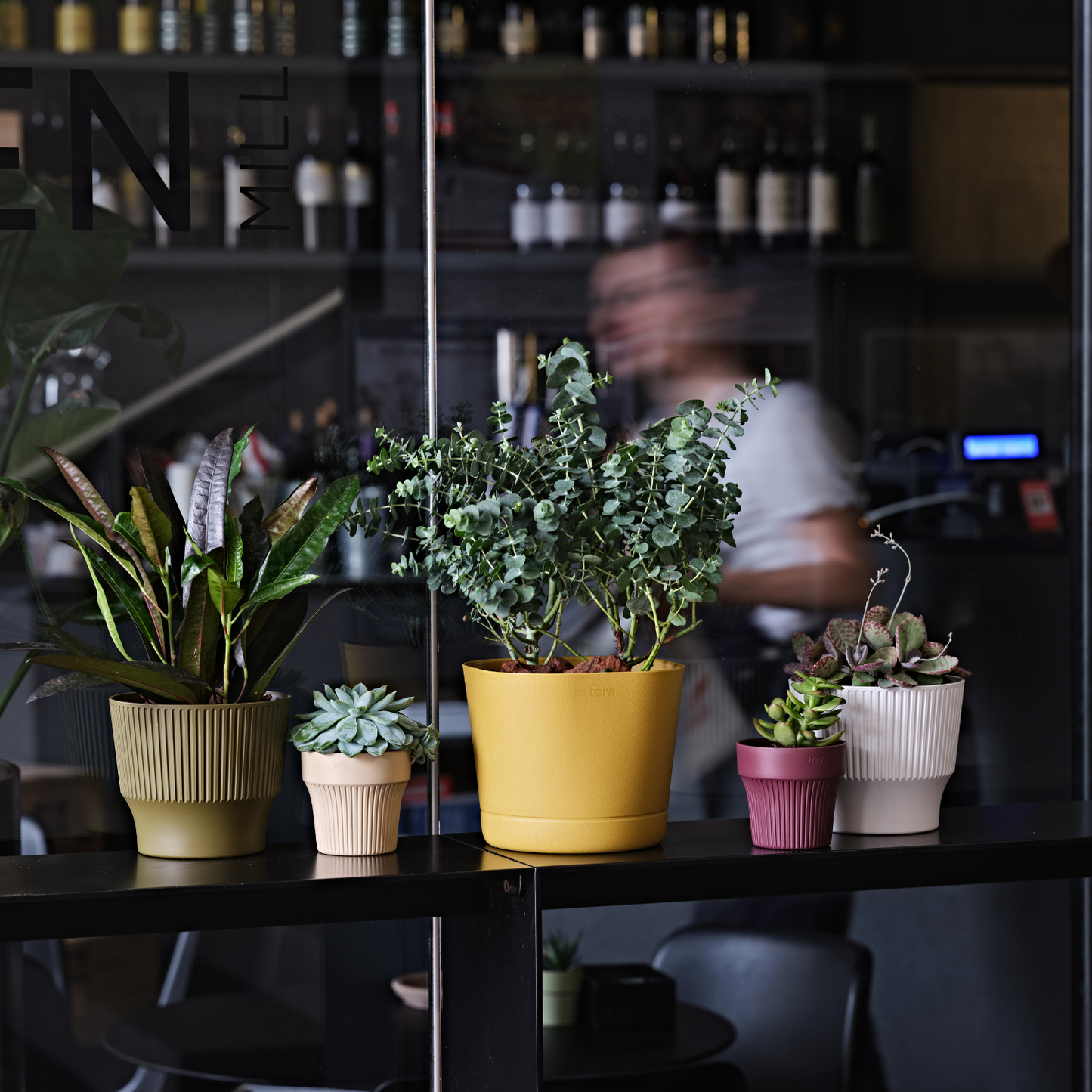 Flowerpot MINI ⌀13/15/18cm CLOVER