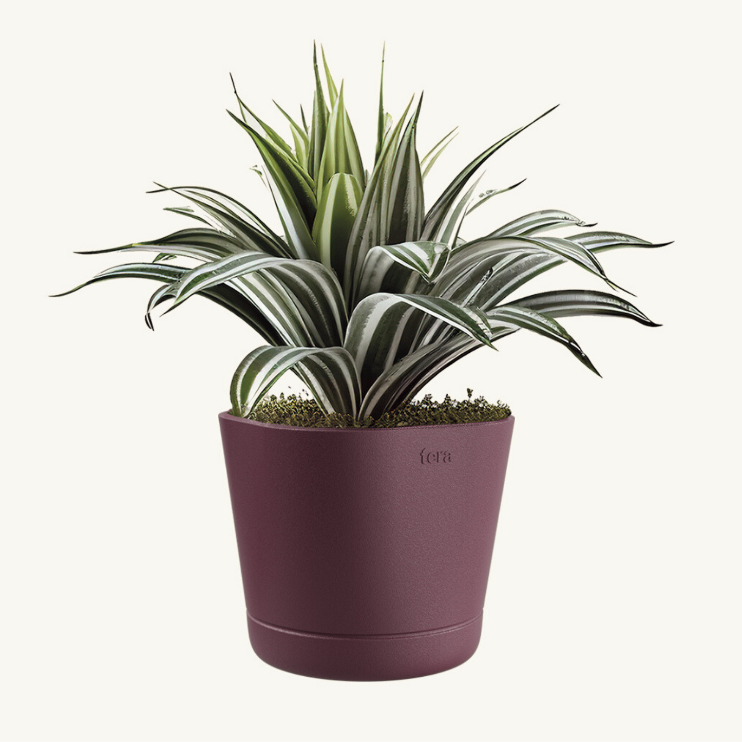 ქოთანი „კოლორადო“ 15/20სმ, ქლიავისფერი