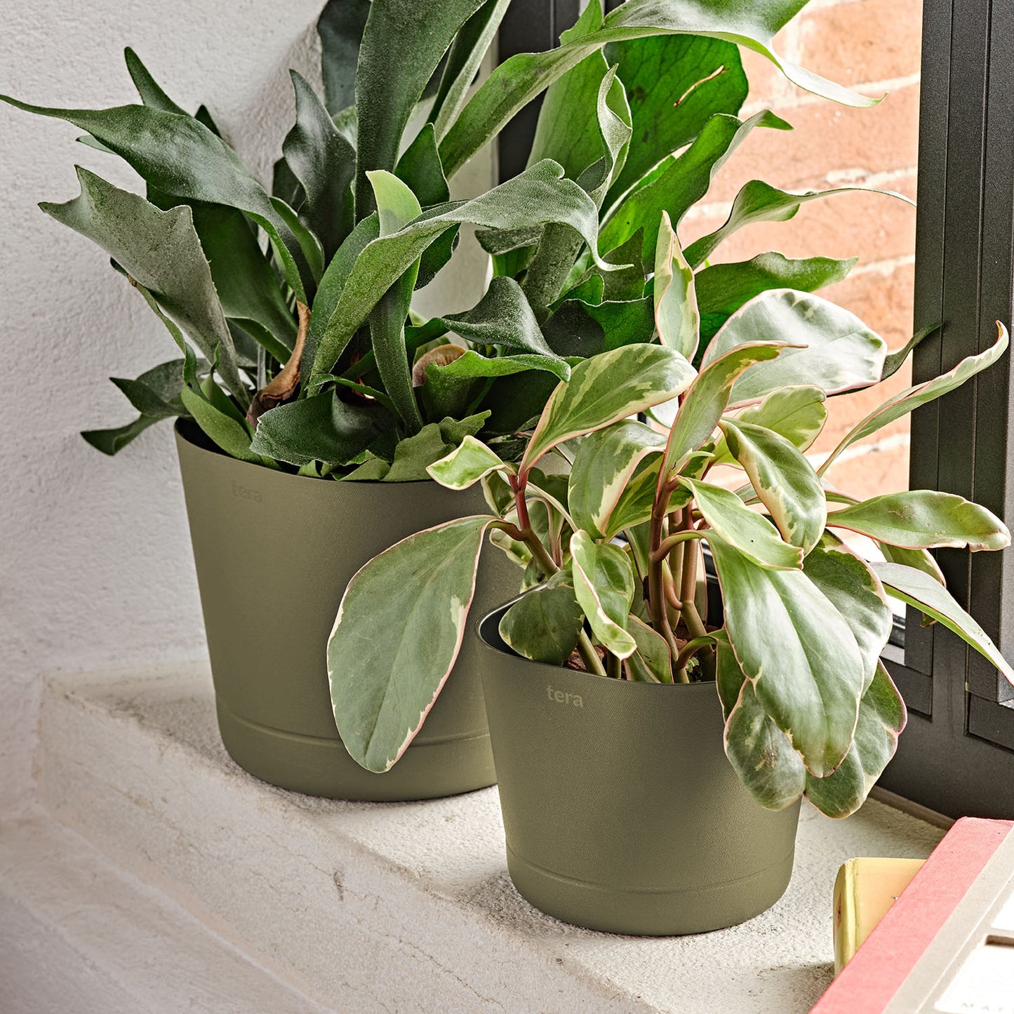 Flowerpot COLORADO 15/20cm CLOVER