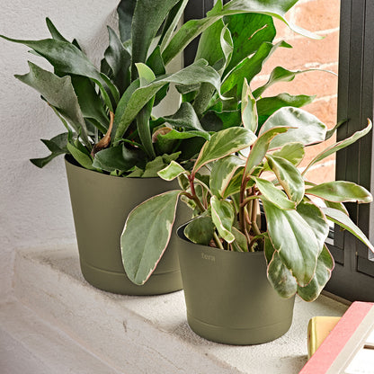 Flowerpot COLORADO 15/20cm CLOVER