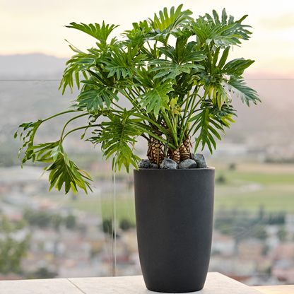 Flowerpot METI ⌀30/40cm ANTRACITE