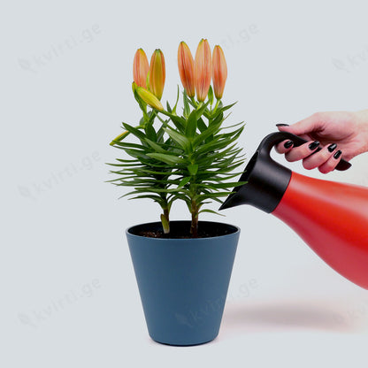 ქოთანი „ესტორილი“ ⌀16სმ, მუქი ფირუზისფერი