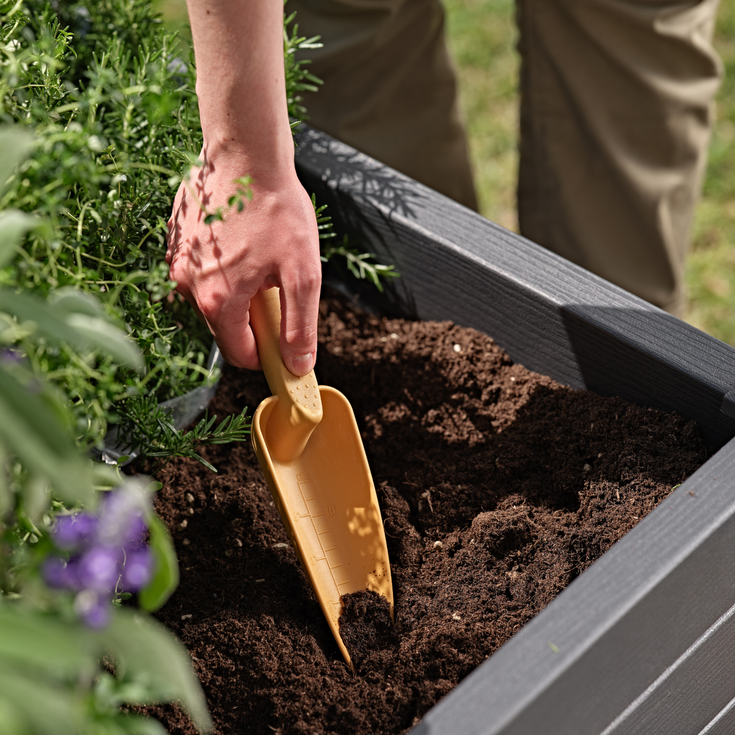 Narrow hand transplanter GAIA (S) CURRY