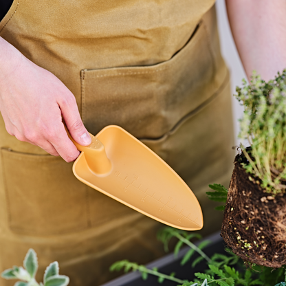 Hand transplanter GAIA (L) CURRY