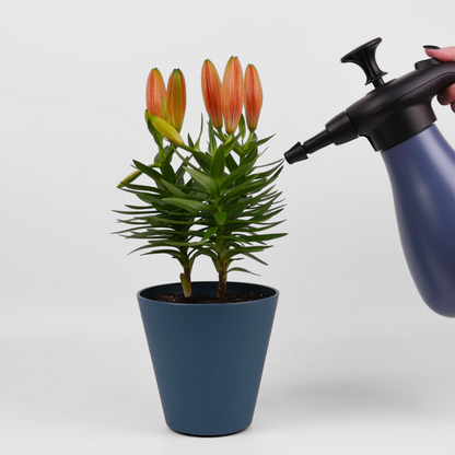 შესასხურებელი „ნებულა“ 1.75ლ, ლურჯი