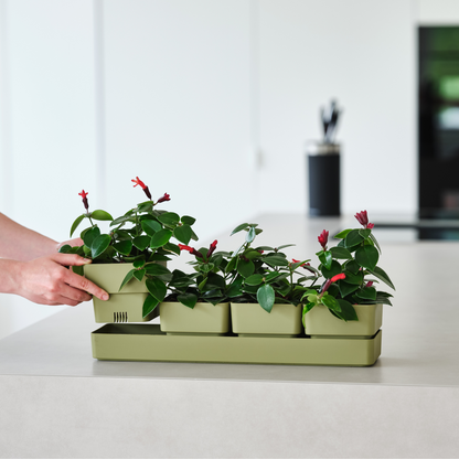 Flowerpots set SIERRA 48cm OLIVE