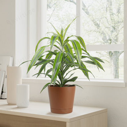 ქოთანი „ორიონი“ ⌀19/24სმ, თბილი ყავისფერი