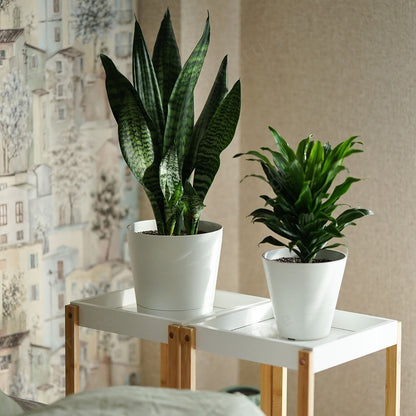 ქოთანი „ორიონი“ ⌀19/24სმ, თეთრი