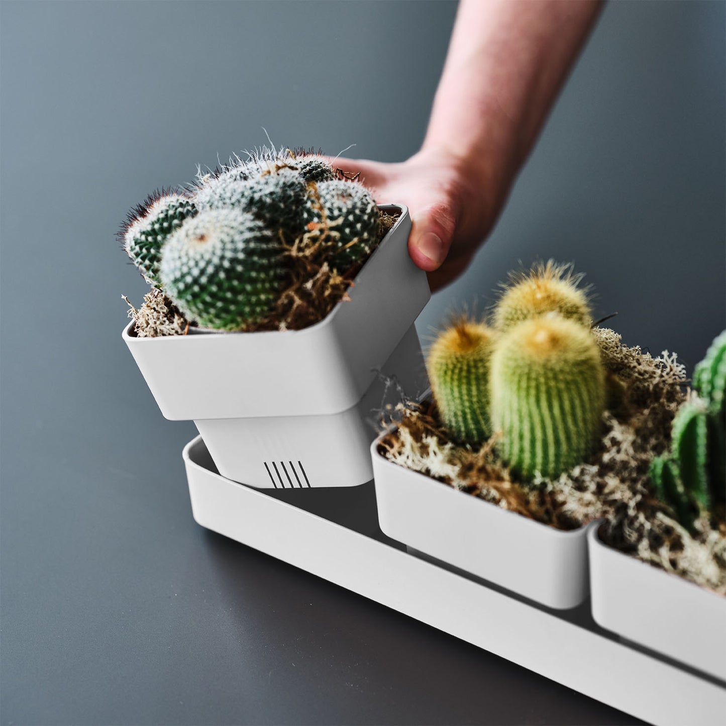 Flowerpots set SIERRA 38/48cm SNOW