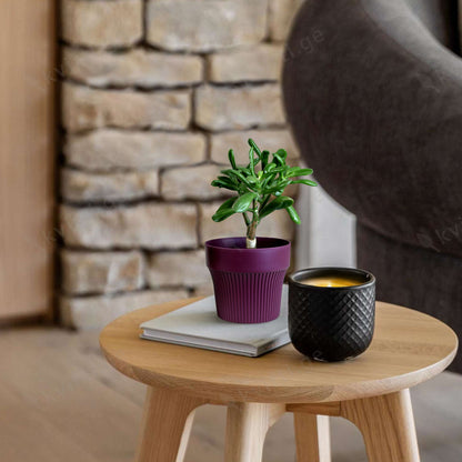 ქოთანი „თაინი“ ⌀10/12სმ, ქლიავისფერი