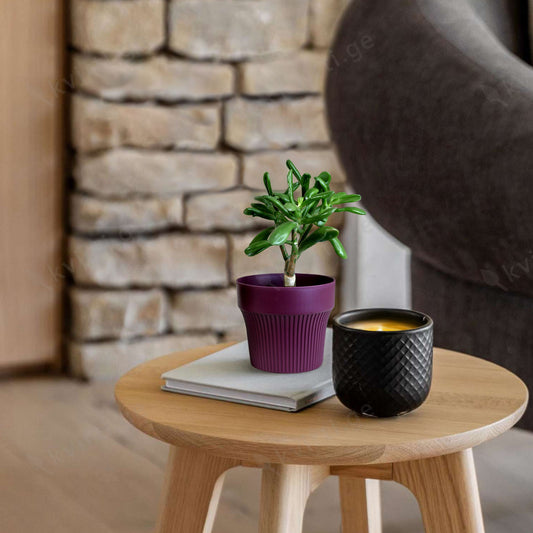 ქოთანი „თაინი“ ⌀10/12სმ, ქლიავისფერი