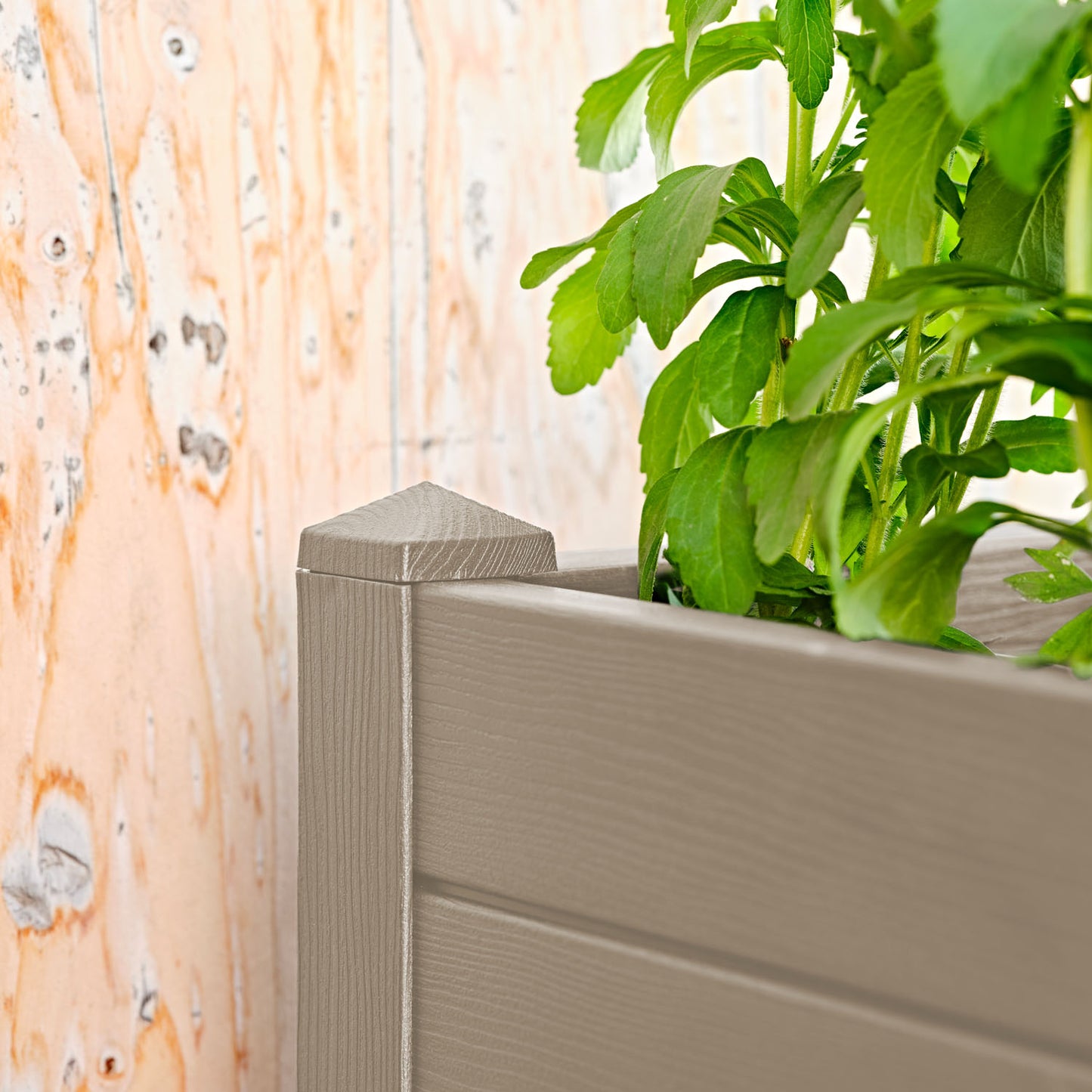 ყვავილების ქოთანი „ტრამა 001“ 42სმ, კრემისფერი