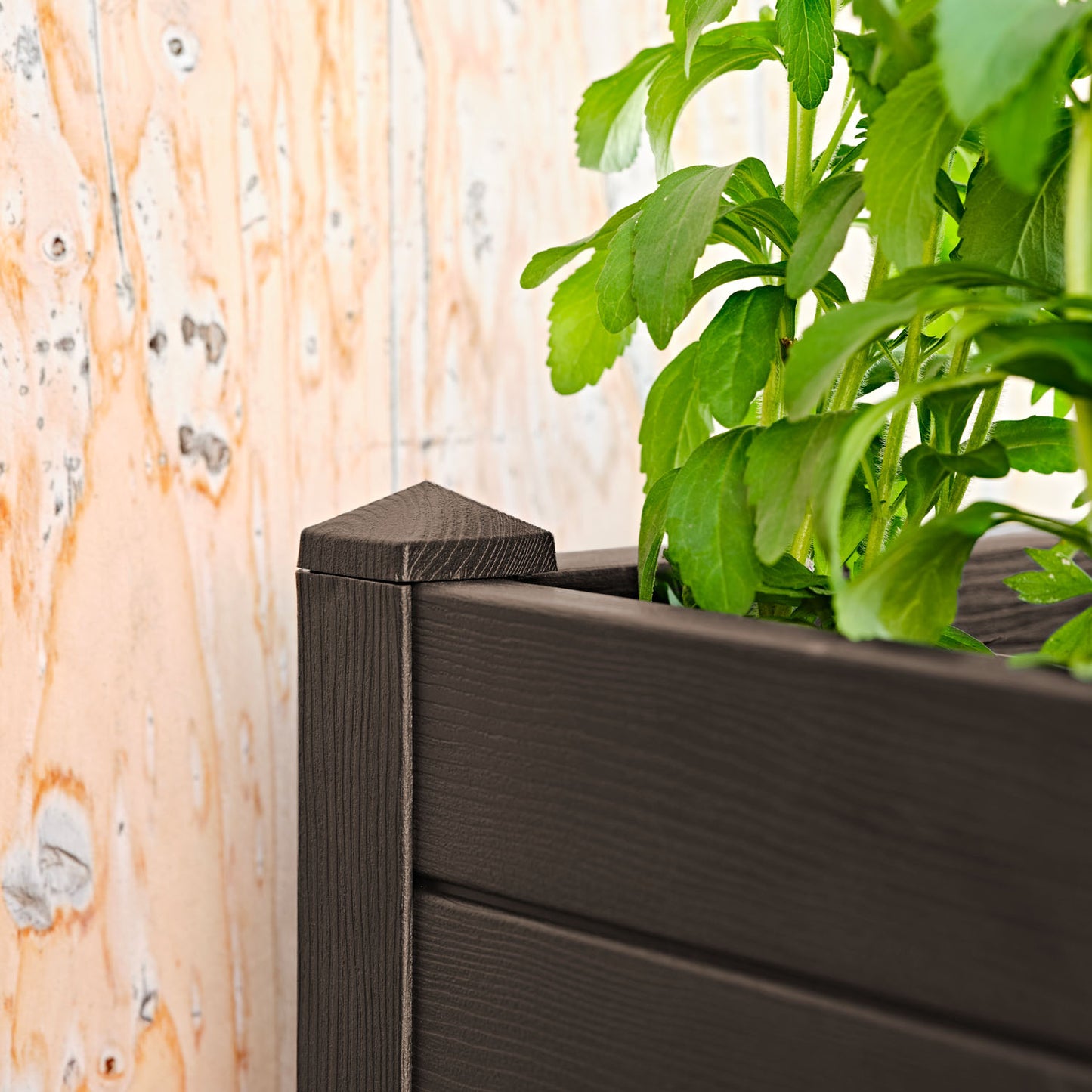 ყვავილების ქოთანი „ტრამა 001“ 42სმ, მუქი ყავისფერი