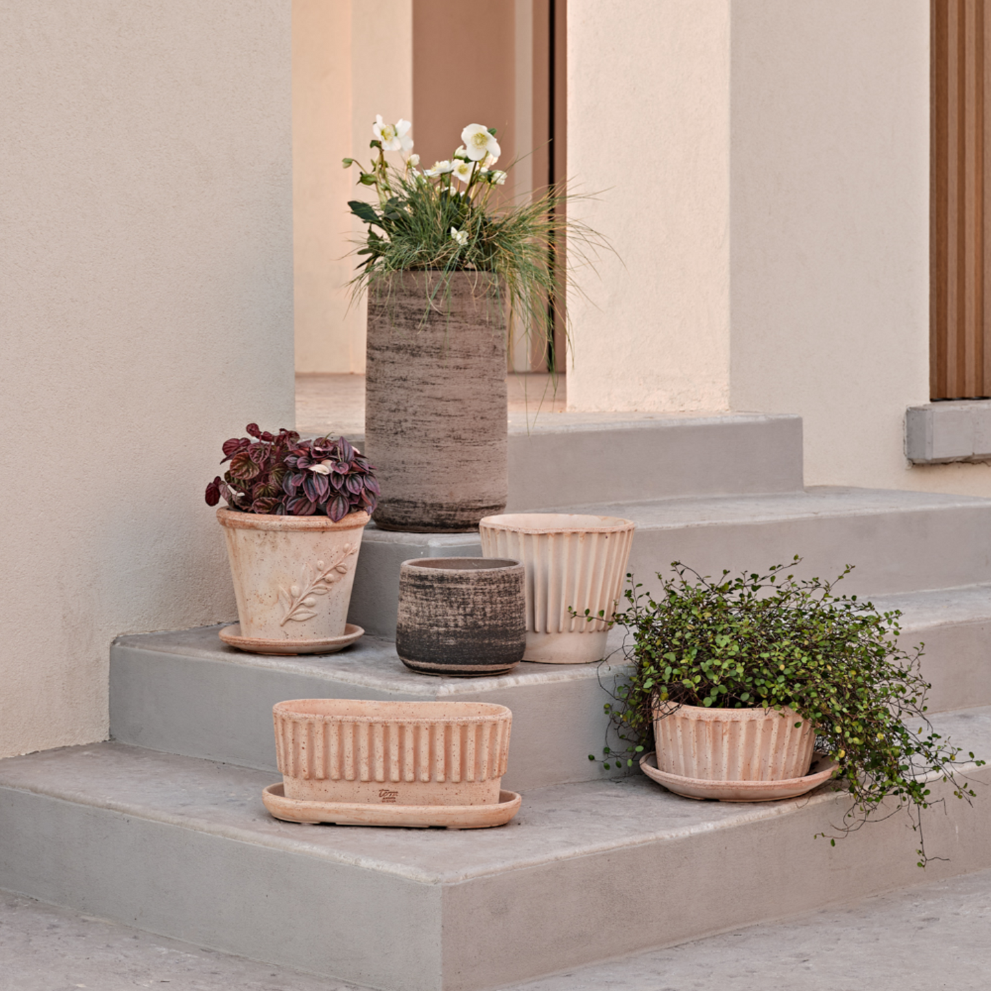 თიხის ქოთანი „ტაორმინა“ 33სმ, გალესტრო