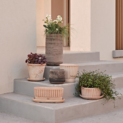 თიხის ქოთანი „ტაორმინა“ 33სმ, გალესტრო