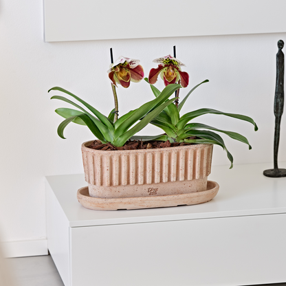 თიხის ქოთანი „ტაორმინა“ 33სმ, გალესტრო