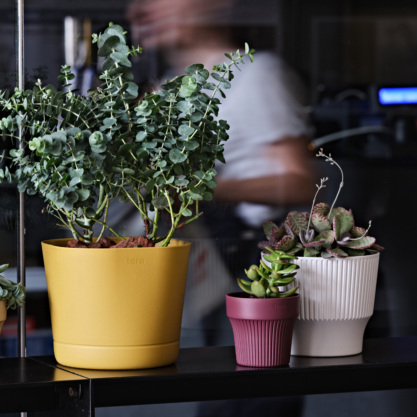 ქოთანი „თაინი“ ⌀10/12სმ, ქლიავისფერი