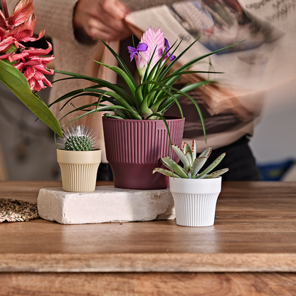 ქოთანი „თაინი“ ⌀8/12სმ, თეთრი