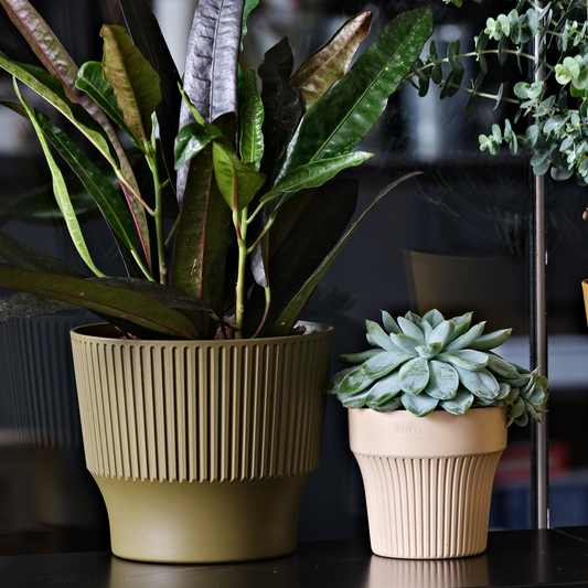 ქოთანი „თაინი“ ⌀10/12სმ, ბეჟი